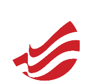 The USA Fence Association Logo
